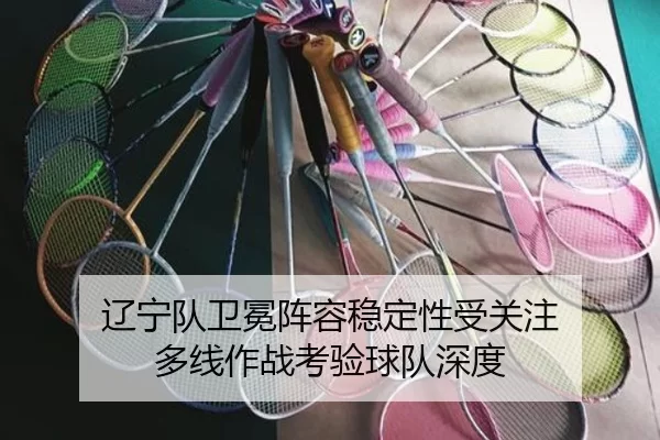 liao-ning-dui-wei-mian-zhen-rong-wen-ding-xing-shou-guan-zhu-duo-xian-zuo-zhan-kao-yan-qiu-dui-shen-du-2-182.jpg